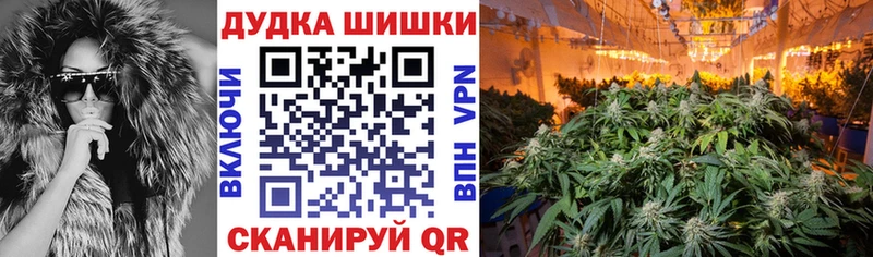 Канабис план  Нолинск 